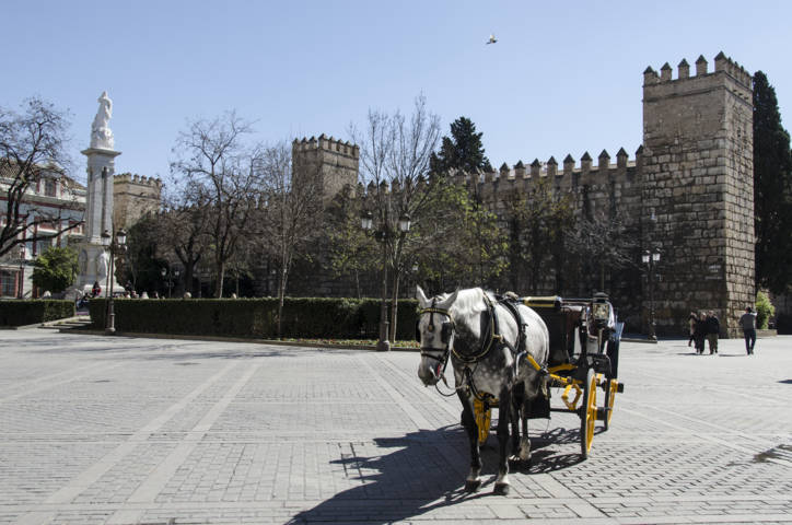 Sevilla 063 - Real Álcazar.jpg